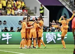 卡莱尔联主场战平，保级前景不容乐观的简单介绍